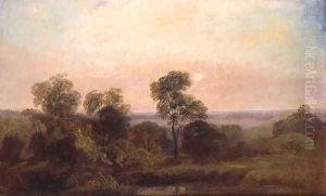 Wooded Landscape at Dusk