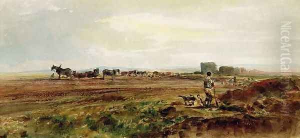 Ploughing the Heathland, Lincolnshire - view 1