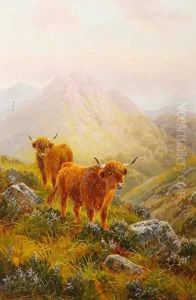 Shetland Cattle On Ben Nuish, Island Of Arran, Scotland by Albert Dunnington