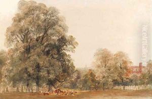 A herd of deer resting beneath a tree, Greenwich Park
