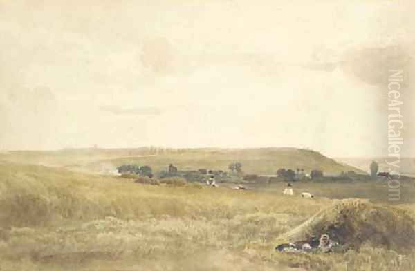 Harvesting scene - view 1