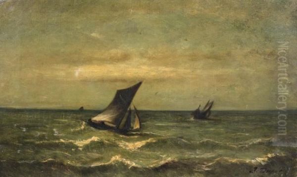 Marine - view 1