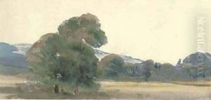 Trees in a field, with hills beyond