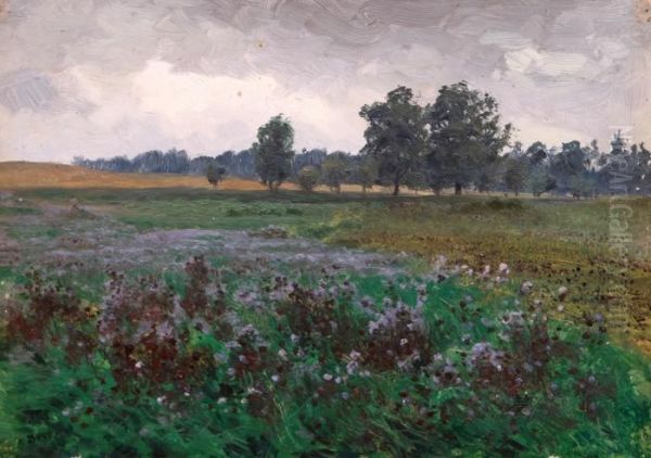Wet Meadow - view 1