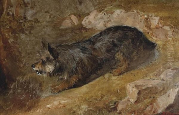 A Rabbiting Terrier - view 1