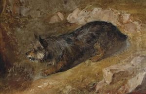 A Rabbiting Terrier by Thomas Faed