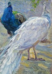 Weisser Und Blauer Pfau