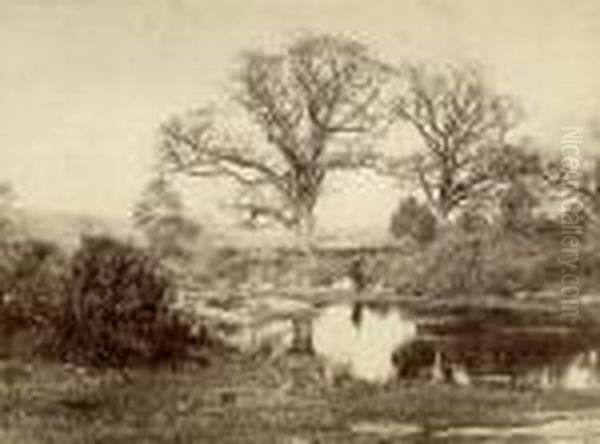La Mare Aux Fees - view 1