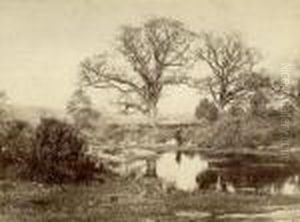 La Mare Aux Fees by Constant Famin