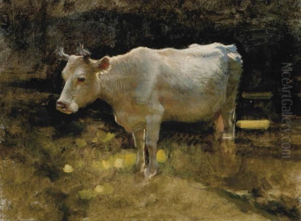 Study Of A Cow In A Meadow - view 1