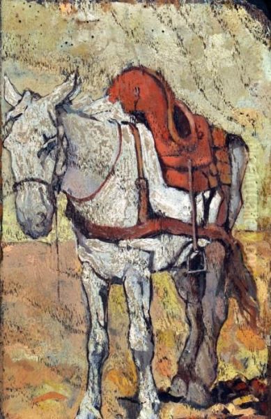 Studio Di Cavallo - view 1