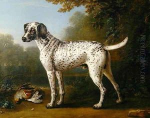 Grey spotted hound, 1738