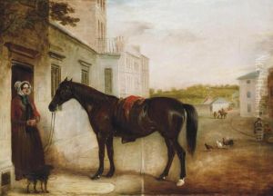The Pony Of The Late Revd W. I. Woodcock The Pony Of The Late Revd W. I. Woodcock