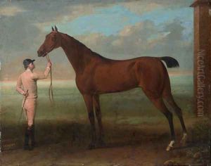Coquette, a Bay Mare, held by a Groom, beside the King's Stables at Newmarket, near the Finish of the Beacon Course