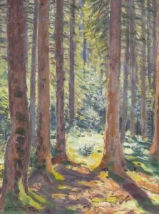 Sommer Im Wald Sommer Im Wald