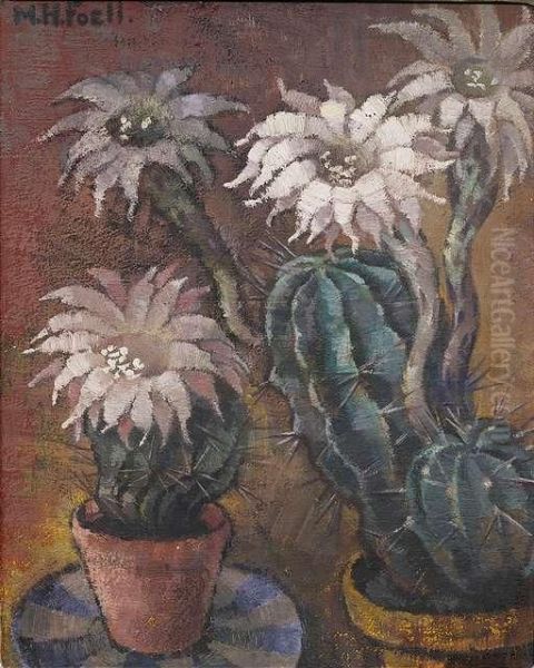 Cacti - view 1