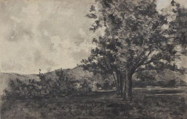 Paesaggio - view 1