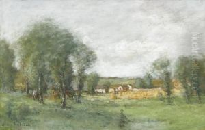 Landschaftspartie Mit Hain Und Weiler
