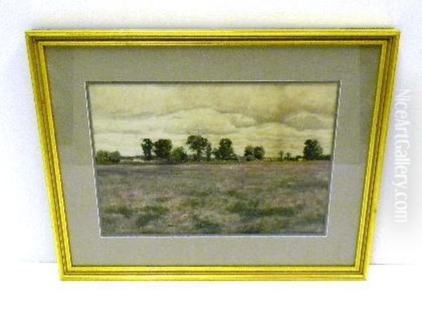 Landscape - view 1