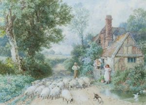A Sunny Cottage A Sunny Cottage