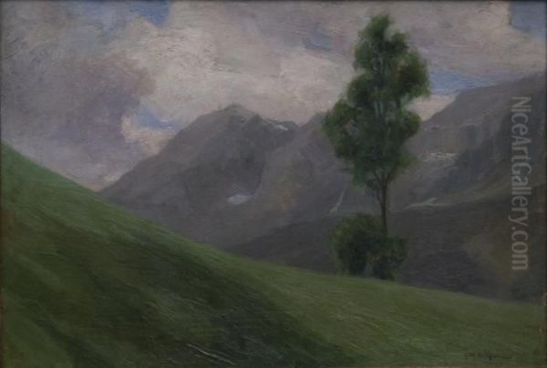 "albero Solitario" - view 1