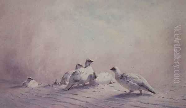 Ptarmigan, Winter, 1873 - view 1