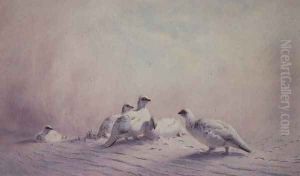 Ptarmigan, Winter, 1873 Ptarmigan, Winter, 1873