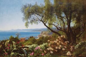 Vue De La Baie De Nice