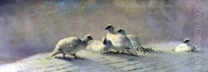 Ptarmigan - Winter, 1861 Ptarmigan - Winter, 1861