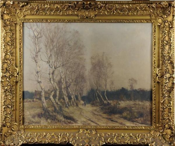 Chemin Arbore - view 1