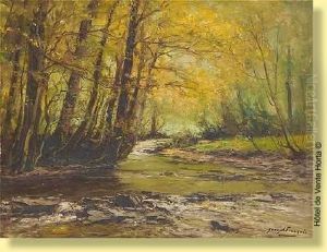 Rayons De Soleil Sur L'ivoigne
