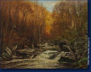 Paysage A La Riviere Paysage A La Riviere