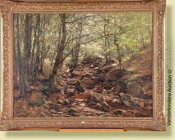Ruisseau En Foret D'ardennes - view 1