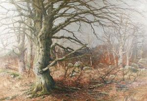 Foret De Fontanebleau by Joseph Charles Francois