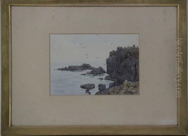 Coastal Landscape With Cliffs - view 1