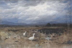 Achill Geese