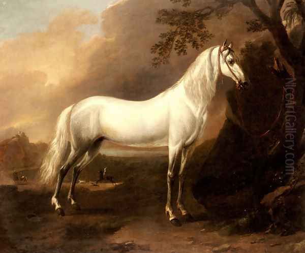 A Grey Arab Stallion In A Landscape - view 1