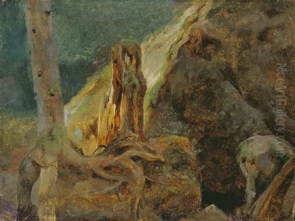 Baum- Und Felsstudie - view 1