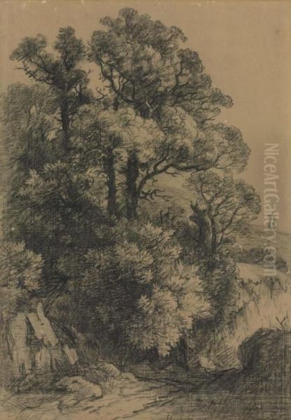 A Wooded Landscape - view 1