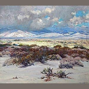 Blooming Desert With Billowing Clouds by John Frost