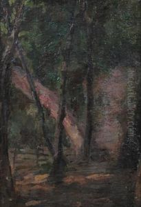 Trees Along Fence Line