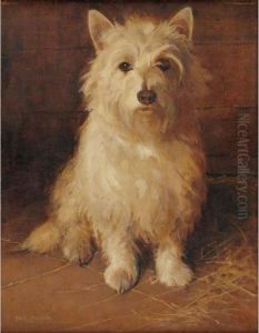 West Highland Terrier