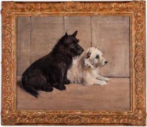 Terriers Terriers