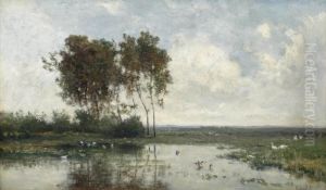 Slootje Bij Abcoude; Near Abcoude