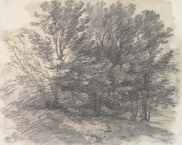 Gainsborough, R.a. A Clump Of Trees Numbered 'n 
O 
. 59' Pencil And Grey Wash On Paper 6Â¼ X 7 5/8 In - view 1