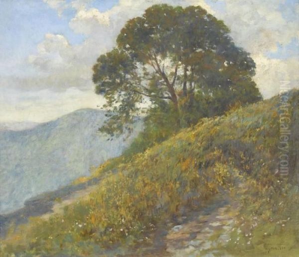 Fruhlingswiese Am Berghang - view 1