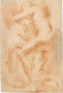 Nudo Accademico Maschile