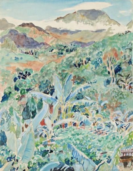 Paysage Tropical - view 1