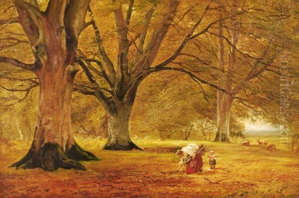 Autumn Woodland - view 1