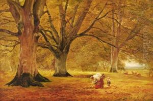 Autumn Woodland Autumn Woodland